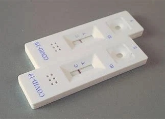 Rapid Test Cards